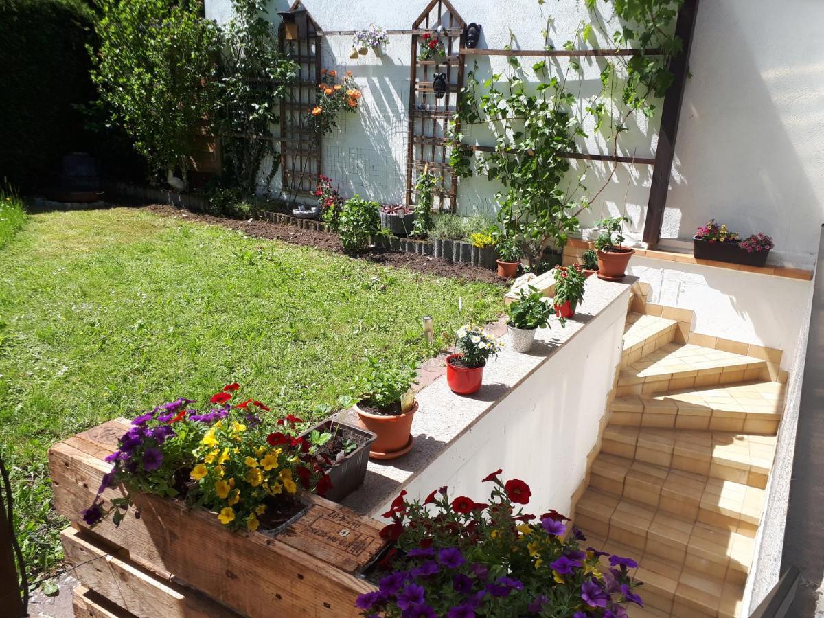 Hostel Bad Salzig Boppard Exterior photo